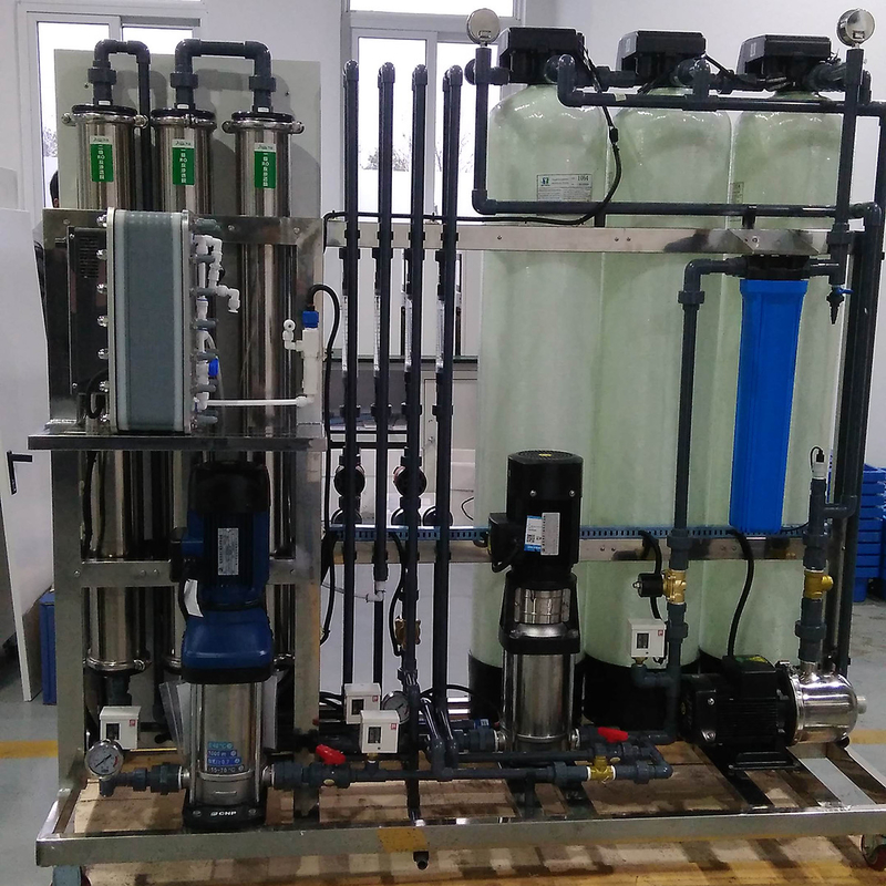 Installation de traitement de l'eau à double passage RO + EDI de 300 litres par heure avec équipement de système RO
