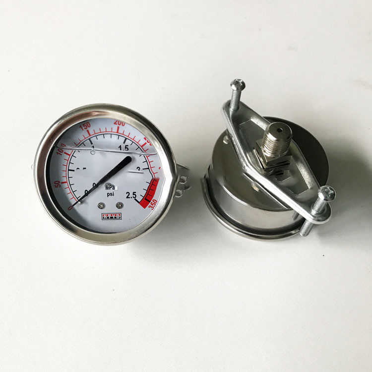 Indicateur de pression rempli d'eau du joint 60Kpa de diaphragme de manomètre de SUS pour le traitement de l'eau de RO