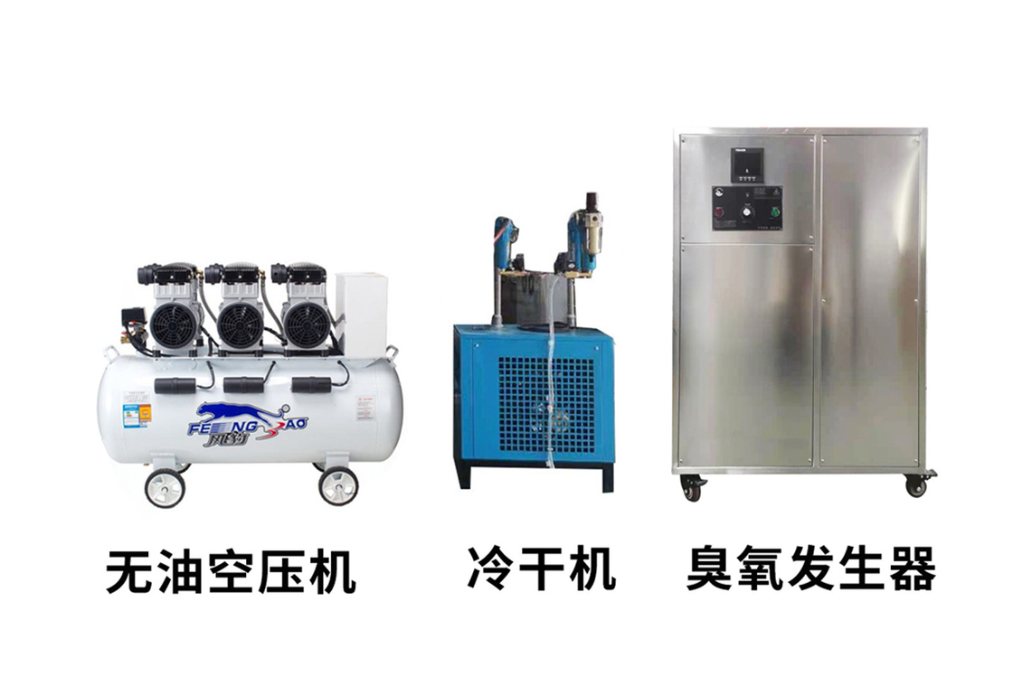 Épurateur commercial de l'eau de RO de l'ozone de 15G/H 20G/H construit dans le concentrateur de l'oxygène