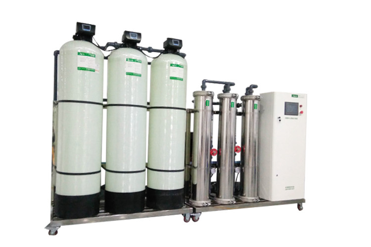Système à passe double actif 1000L/H de RO de traitement de l'eau de filtre de carbone